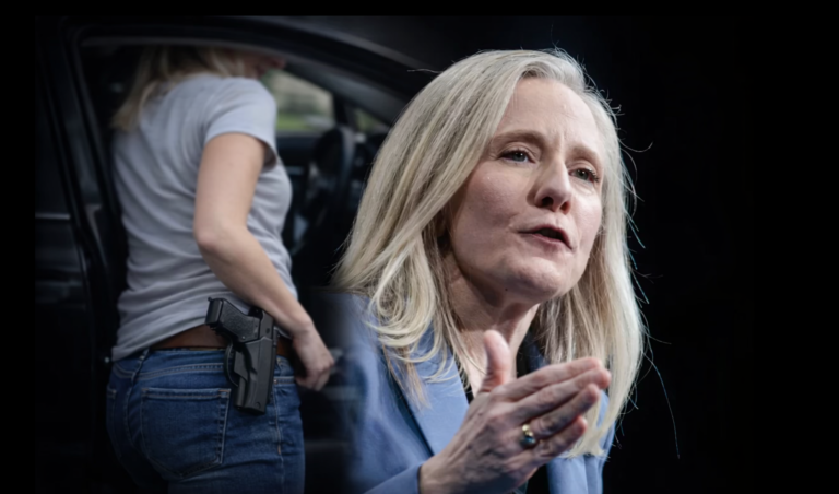 Virginia Passes Gun Ban With a Loophole for Lawmakers